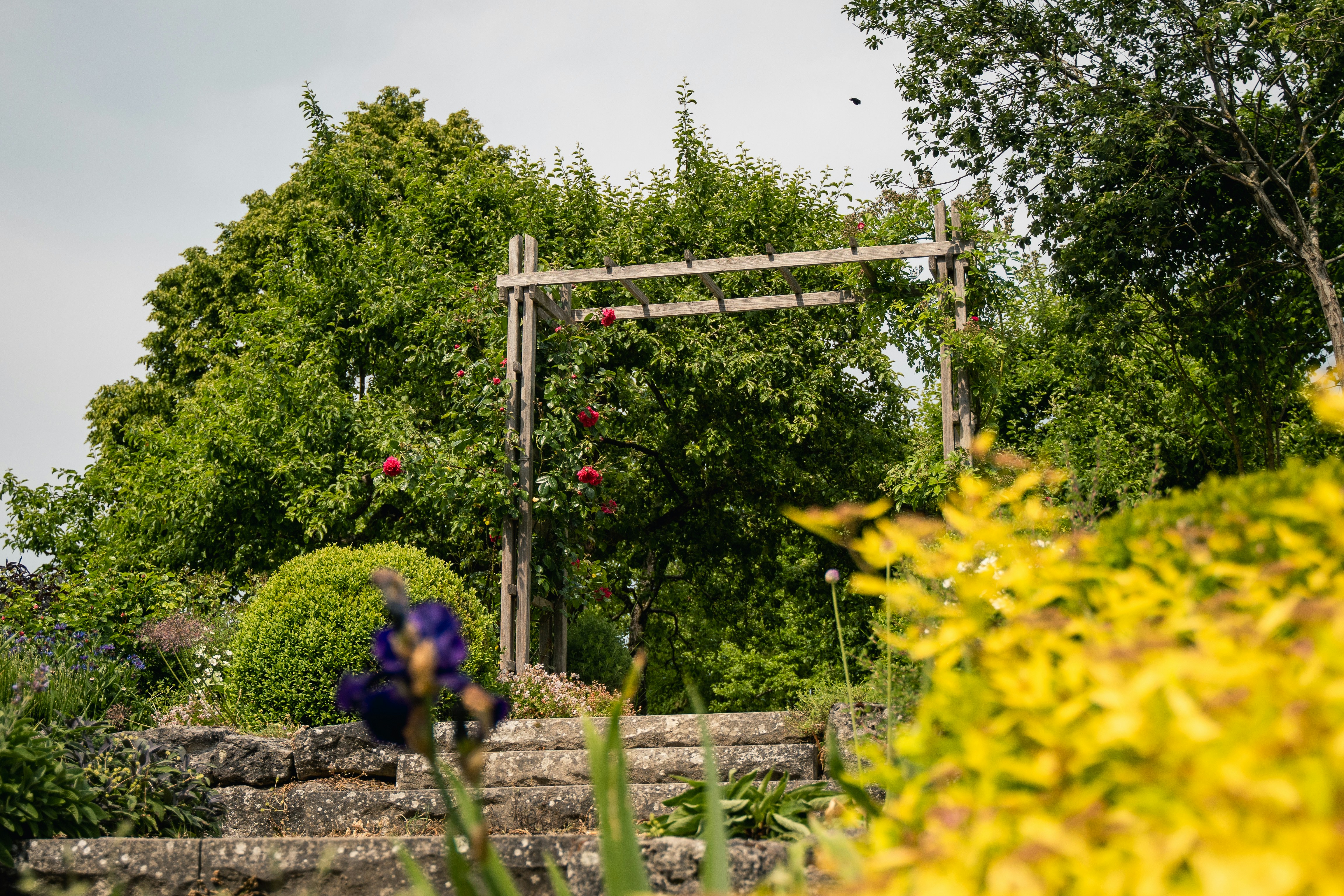 Photo by dominik_kempf