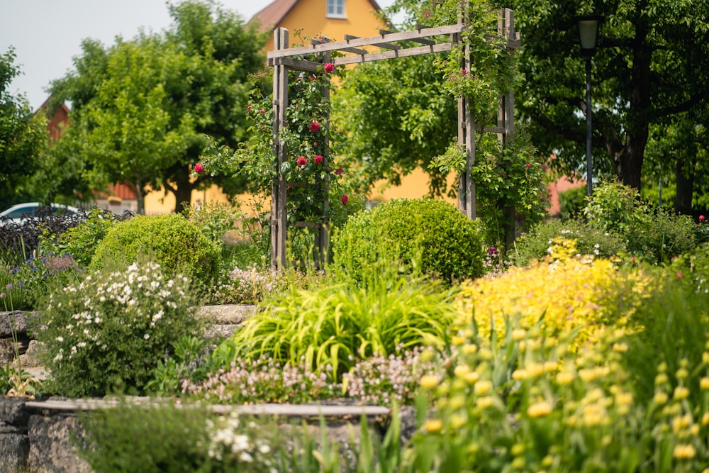 Un jardín con muchas flores y árboles