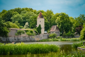 A picturesque view of the village pond surrounded by greenery.