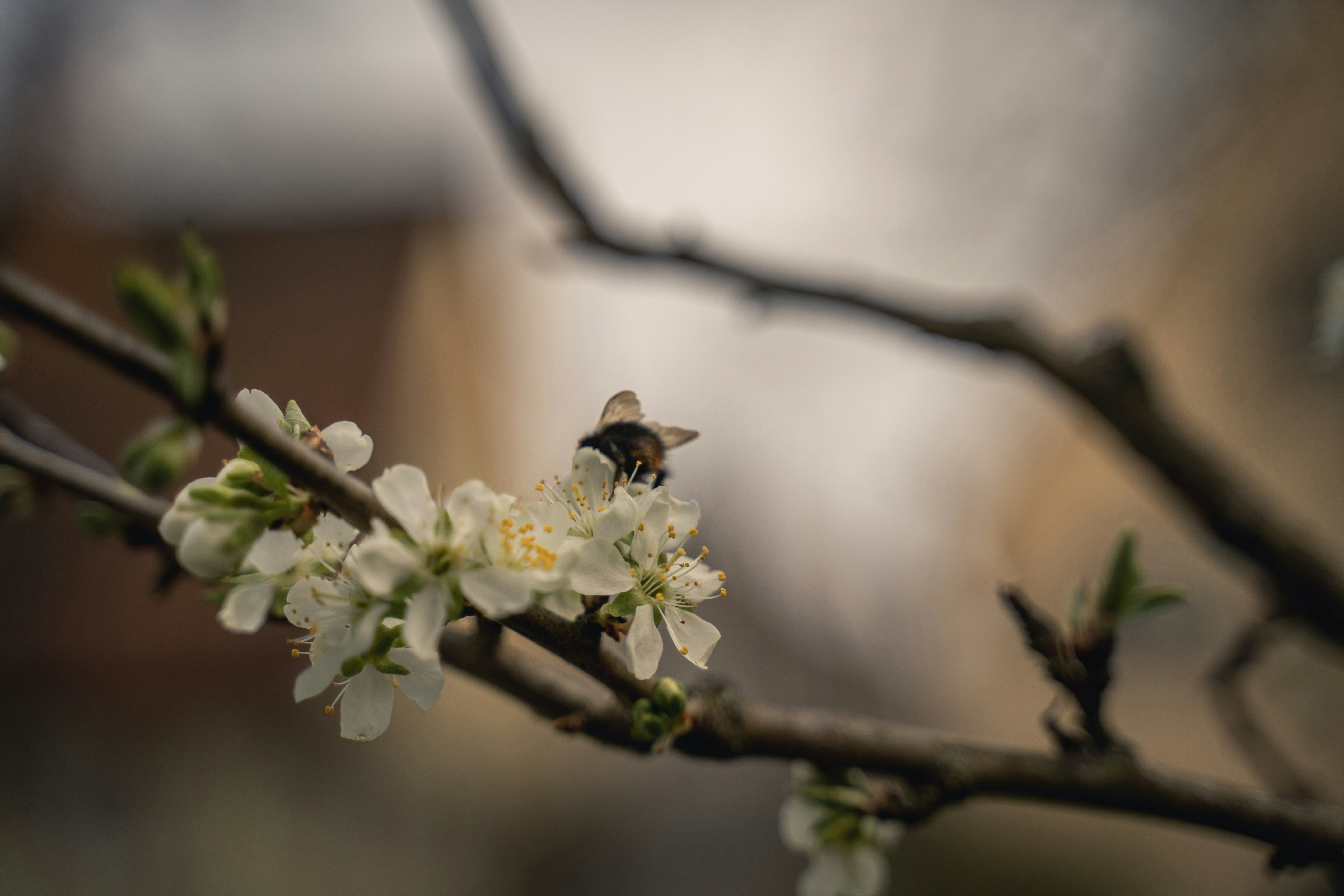 Photo by dominik_kempf