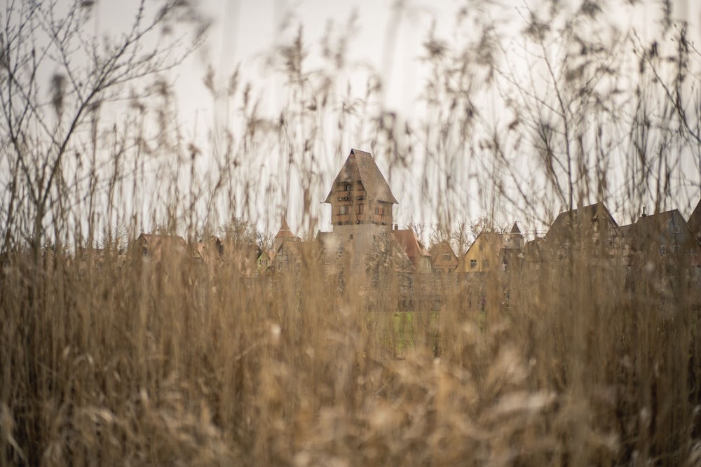 a house in the middle of a field of tall grass