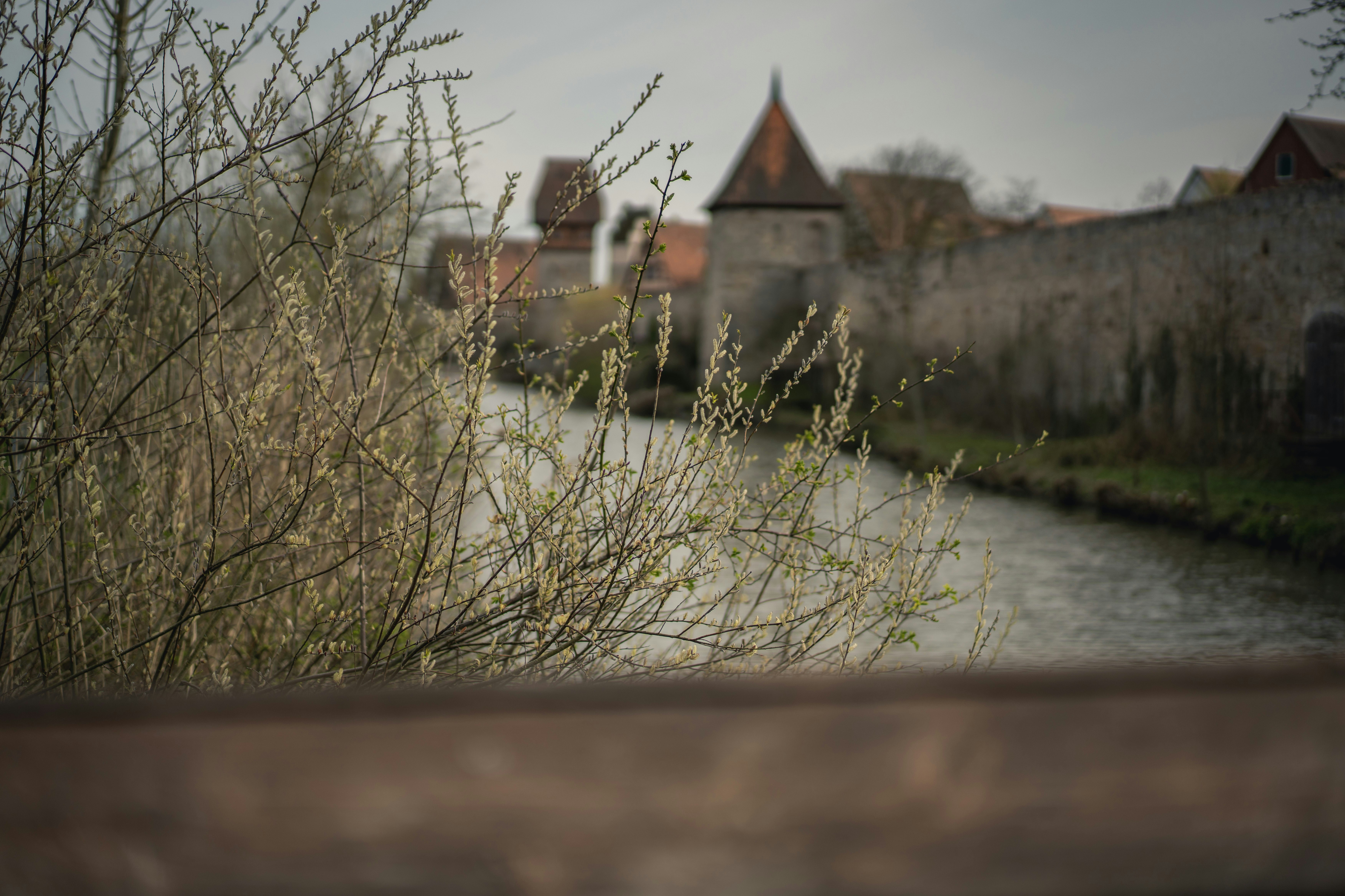 Photo by dominik_kempf