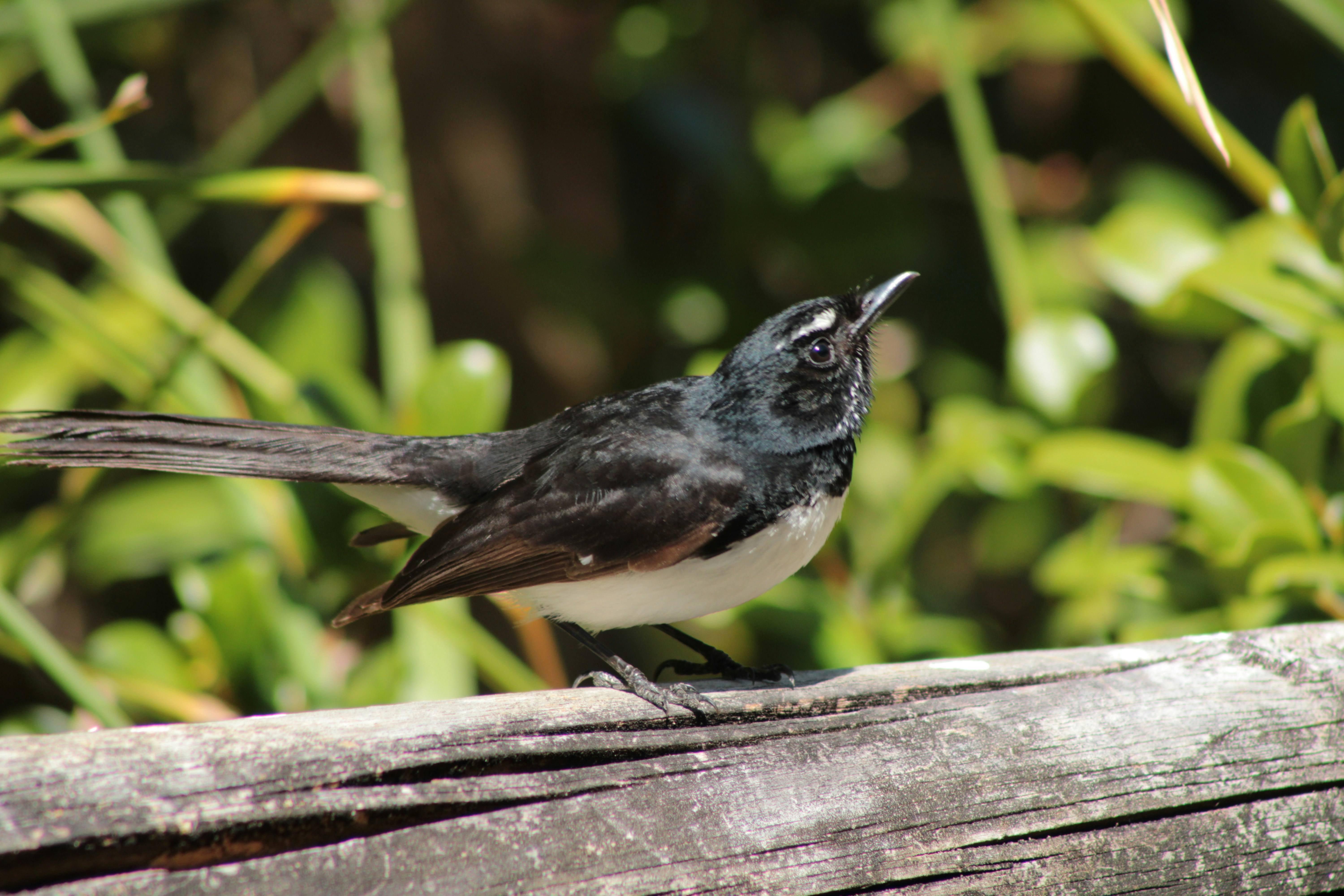 Photo by sweetasphotography