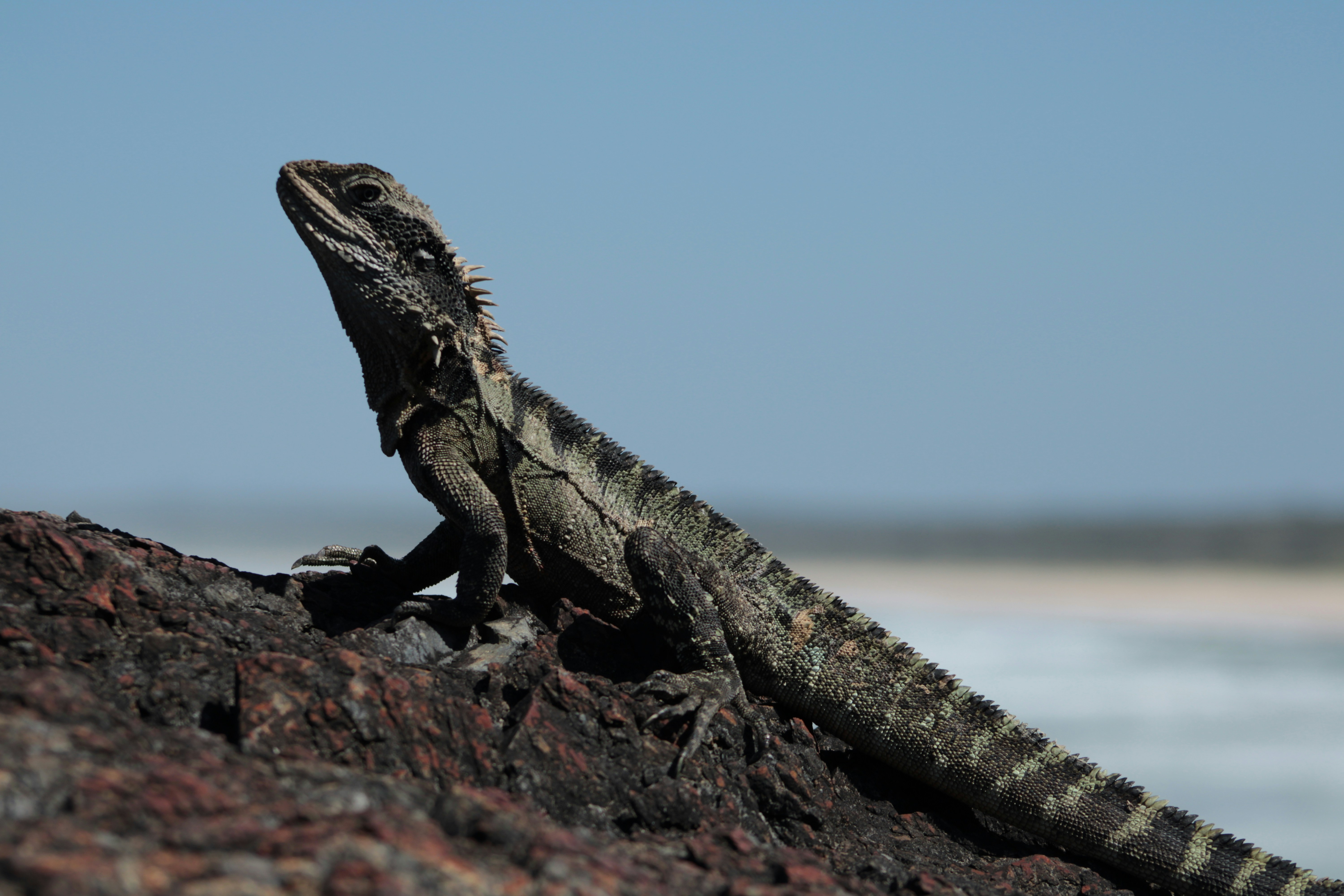 Photo by sweetasphotography