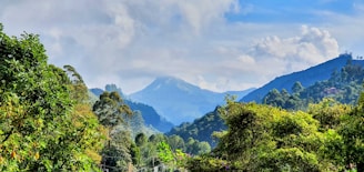 a scenic view of a mountain range with trees in the foreground