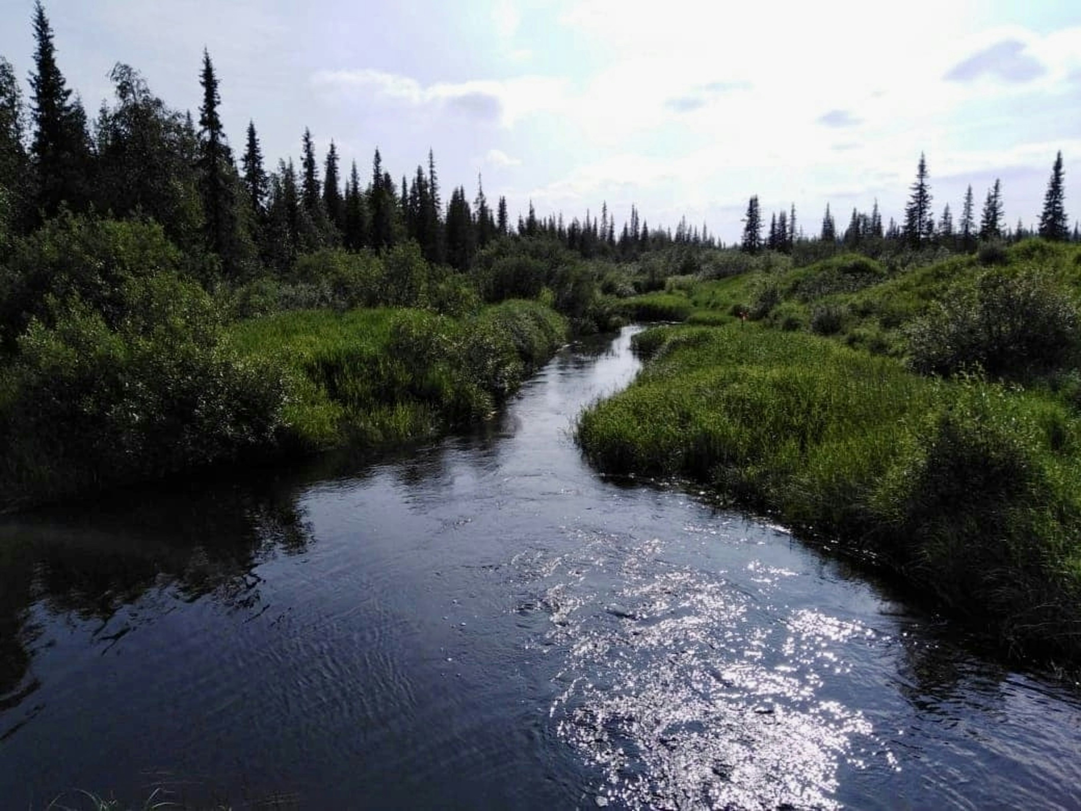 Photo by katrin_bloom