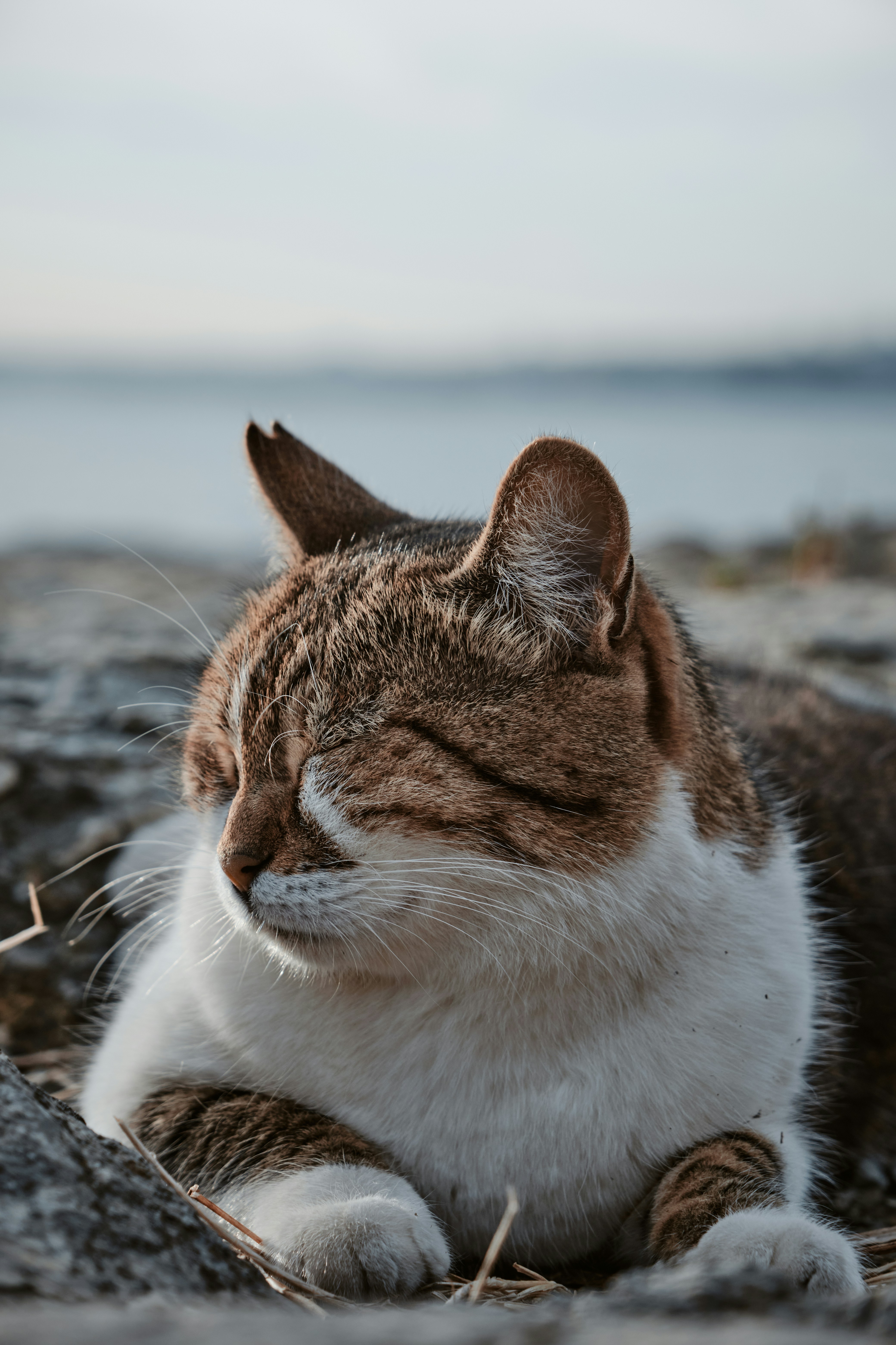 Photo by oguzhantasimaz