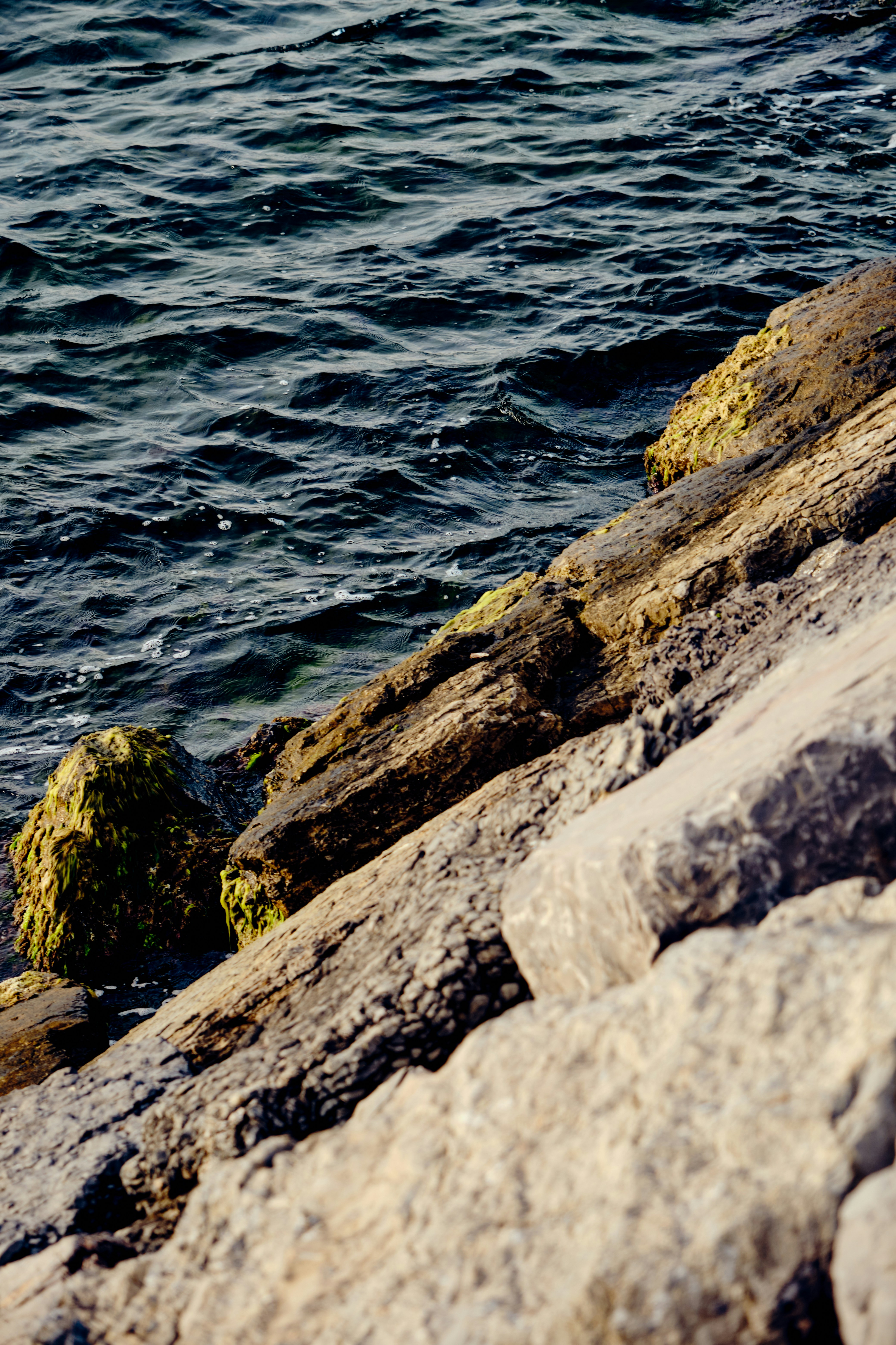 Photo by oguzhantasimaz