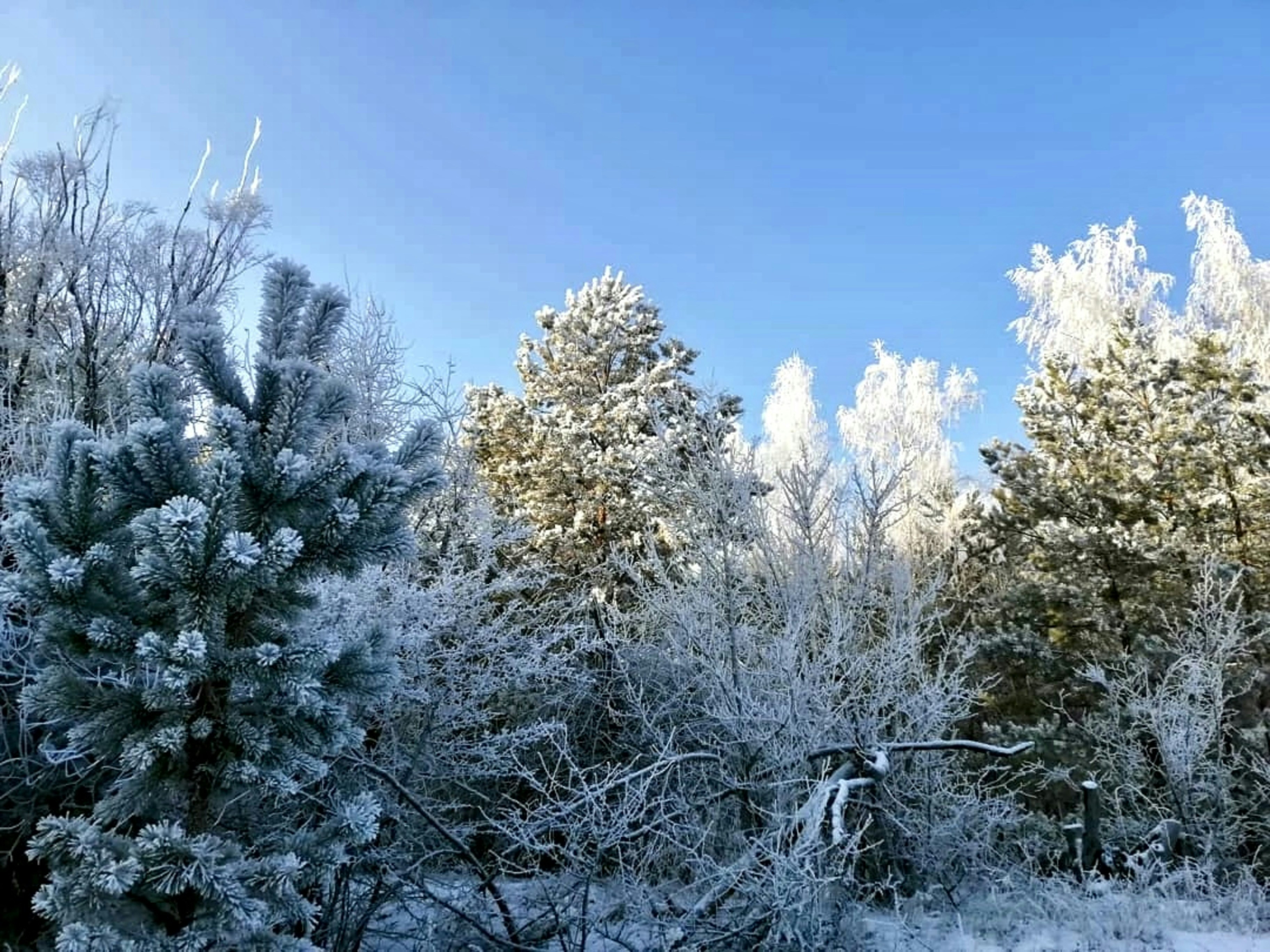 Photo by katrin_bloom