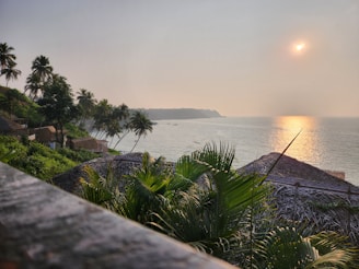 Coastal land with palm trees and ocean view in Lombok at sunset.