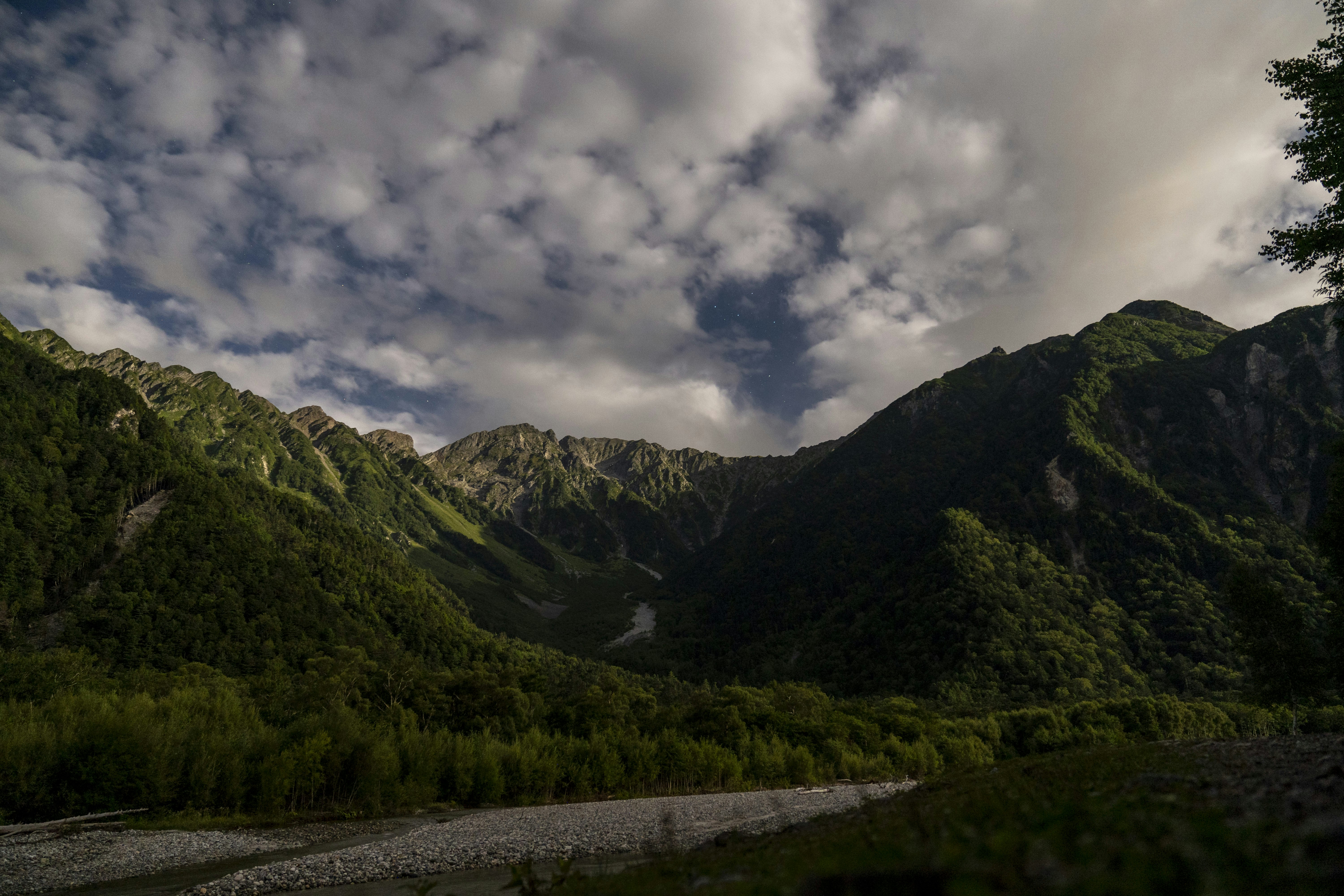 a river running through a lush green forest