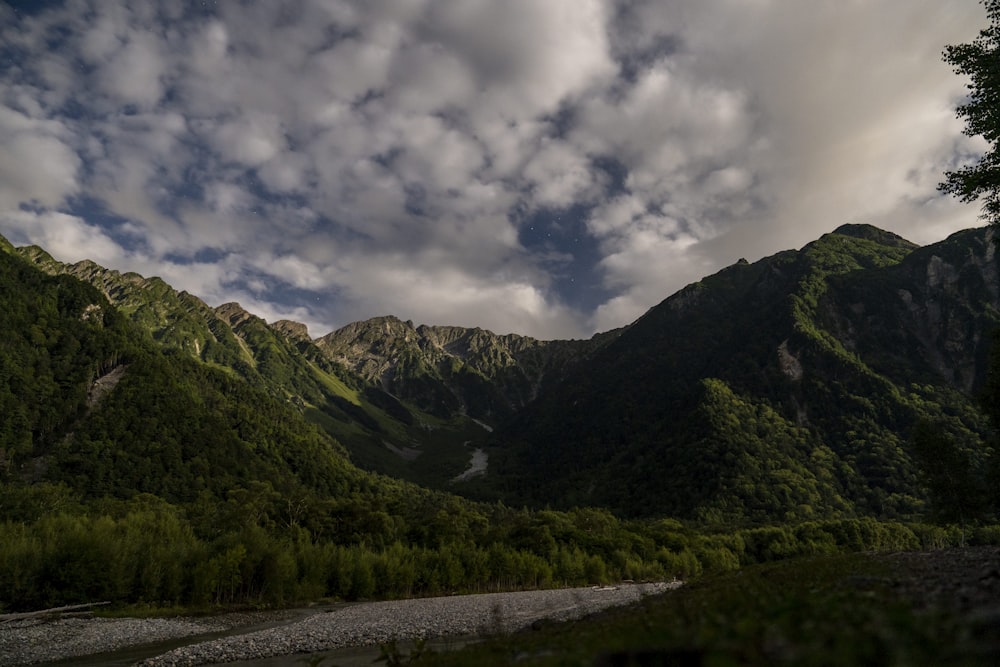 a river running through a lush green forest