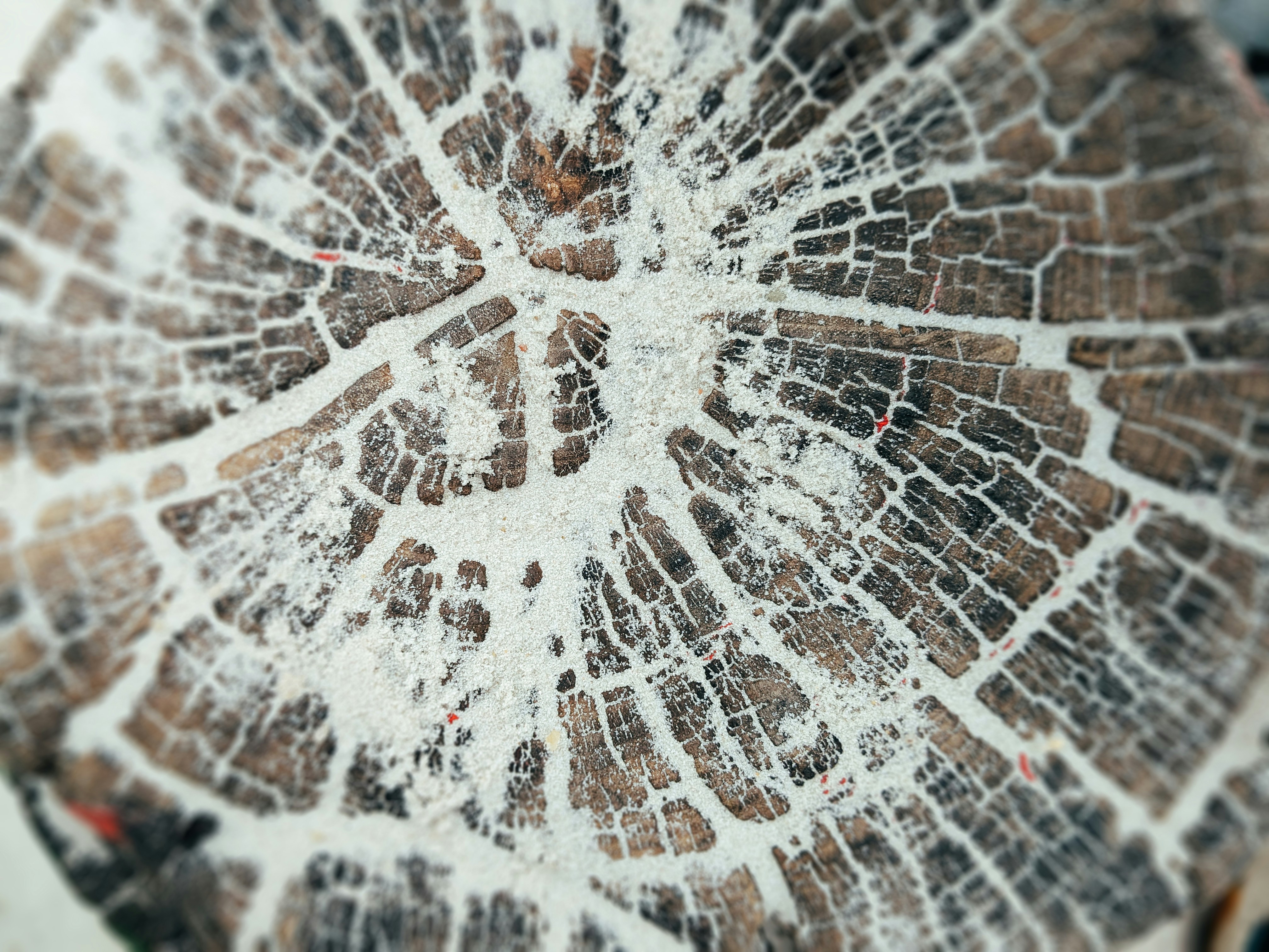  Breaking the Tech Ceiling: Making AI Skills Accessible for All Women