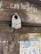 A close-up view of a metal padlock attached to a loop on a wooden door. The padlock has visible text and appears worn, indicating age. Chalk writings are on the upper part of the door, and faded posters featuring text and images are pasted below.