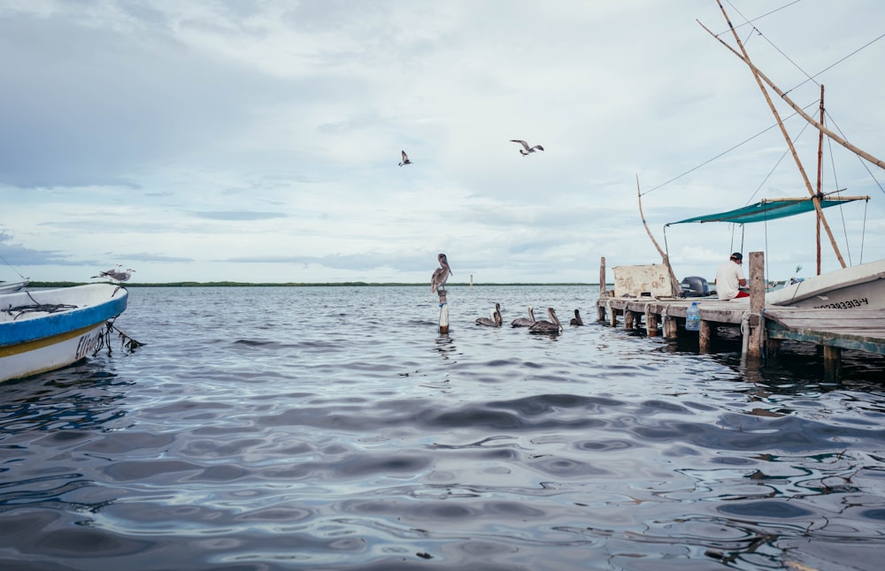 a man standing on a dock next to a boat