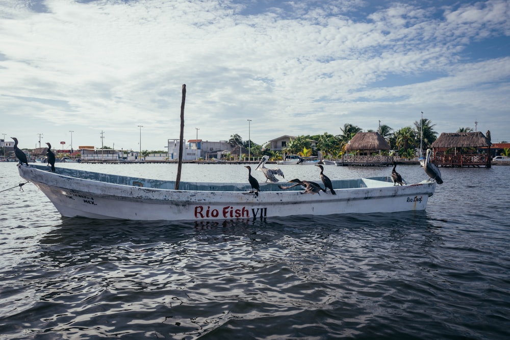 a white boat with pelicans sitting on it in the water