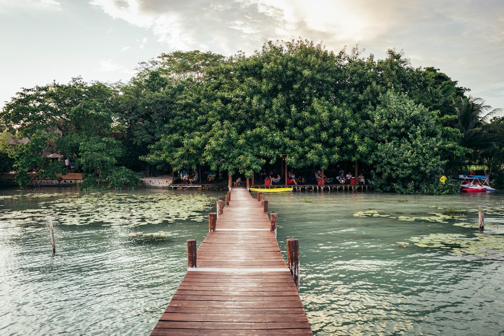 a wooden dock in the middle of a body of water