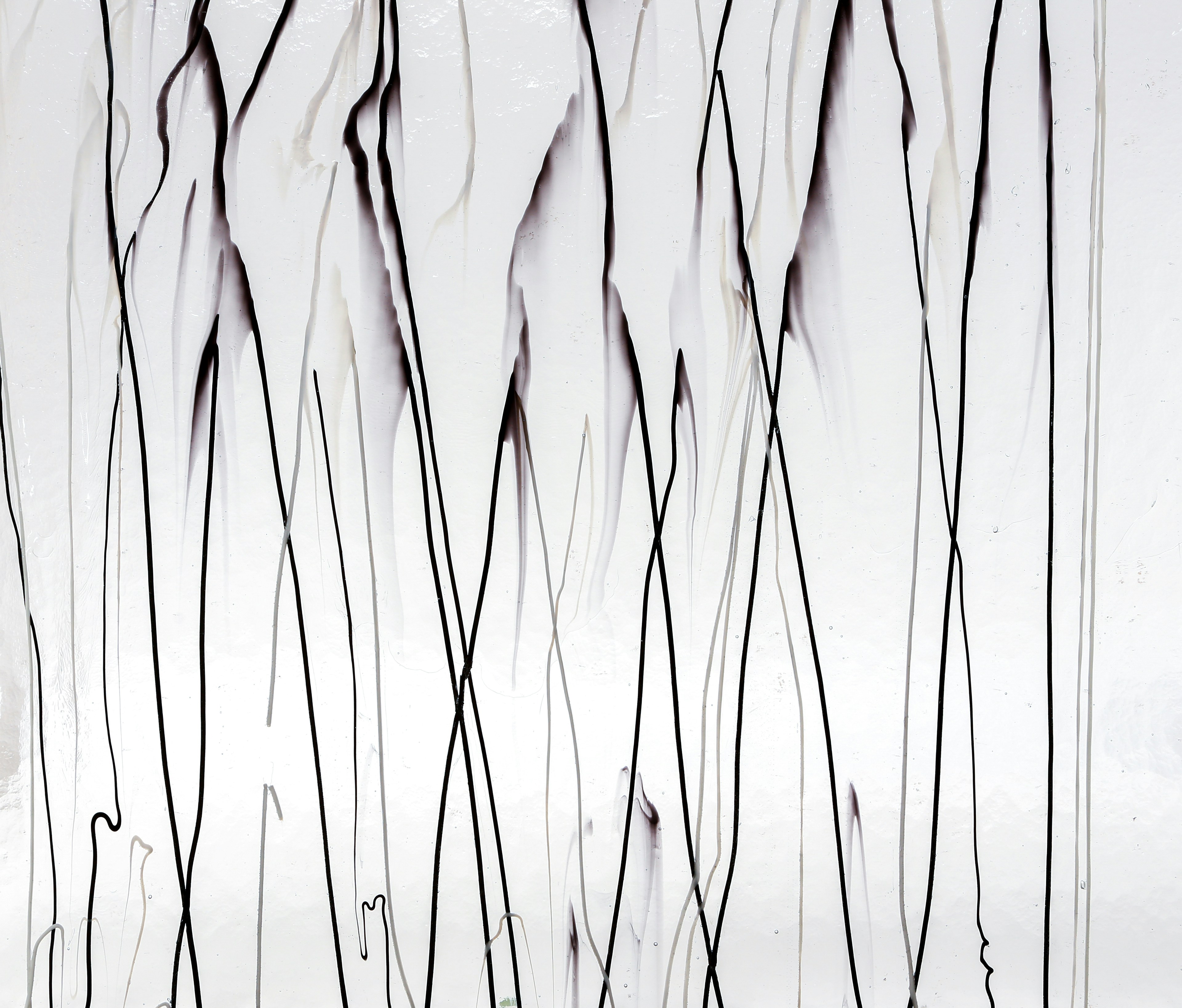 a black and white photo of a bunch of branches