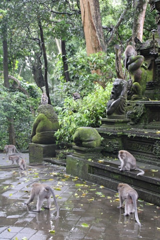 A serene view of a lush forest with playful monkeys interacting among ancient stone statues.