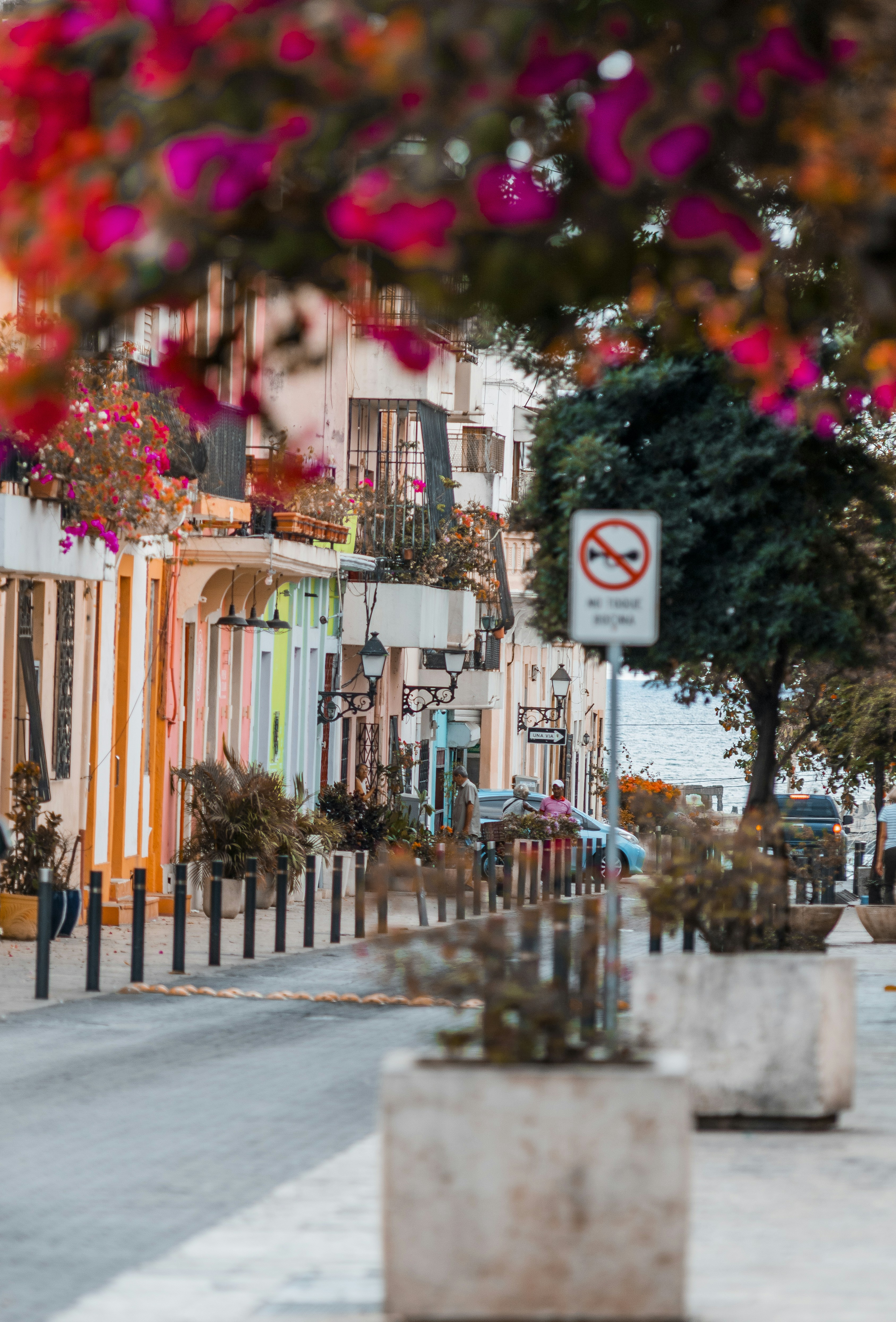 Photo by taravinesmith