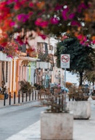 A vibrant street filled with colorful buildings and flowers.