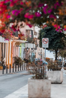 A vibrant street filled with colorful buildings and flowers.