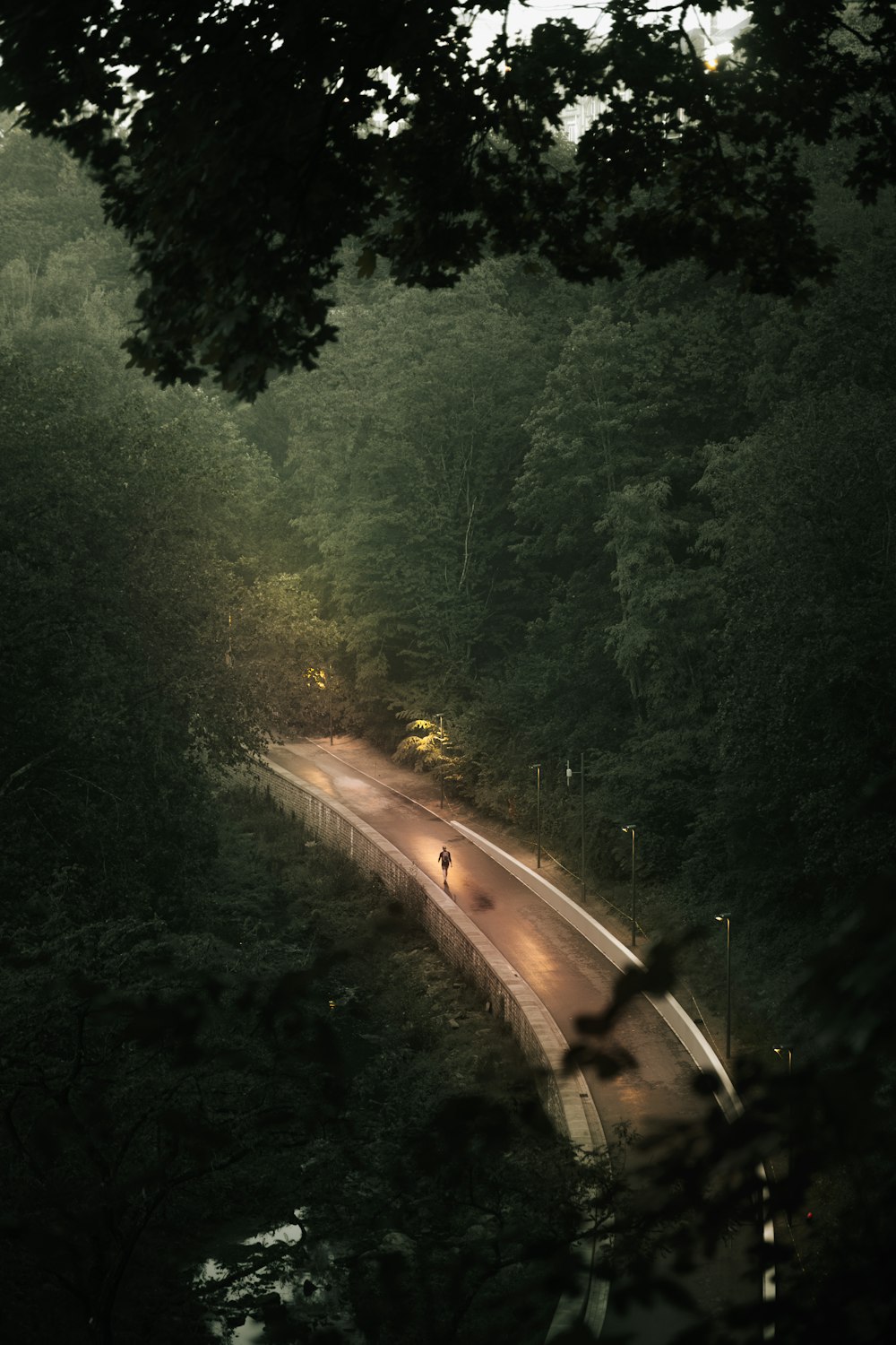 a person riding a bike on a road in the woods