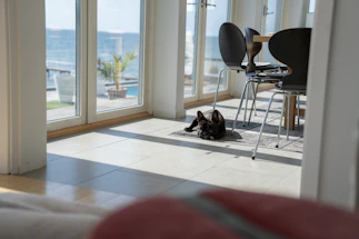 A cozy Scandinavian-style living room with soft natural light and a happy dog looking out the window toward Acadia National Park.