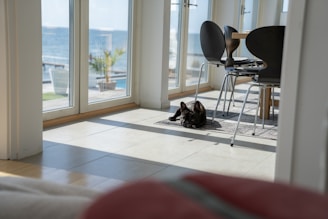 Sunlit living room with tropical decor, bright windows, and a happy dog lounging on a clean rug.