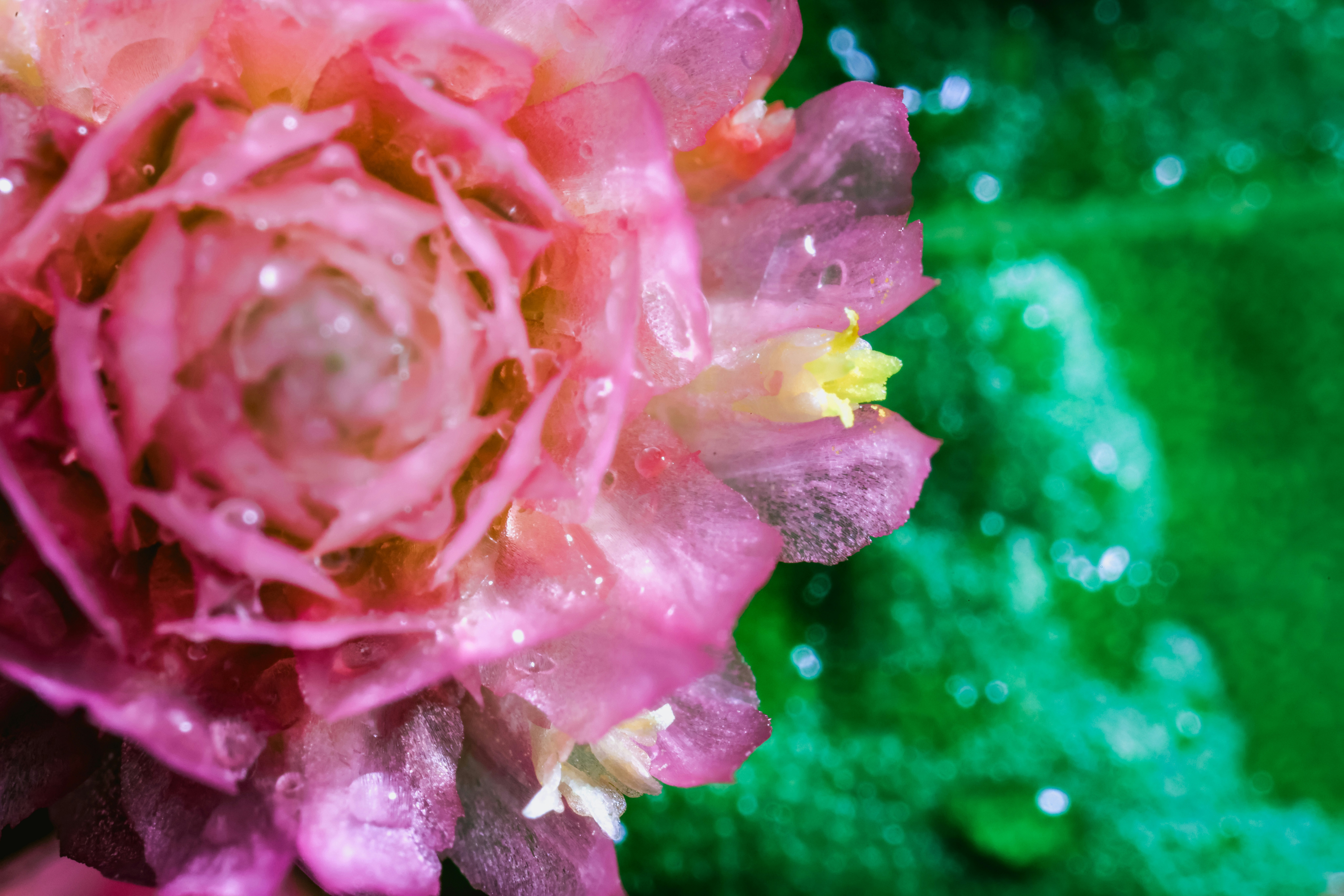 Photo by dickenslin76