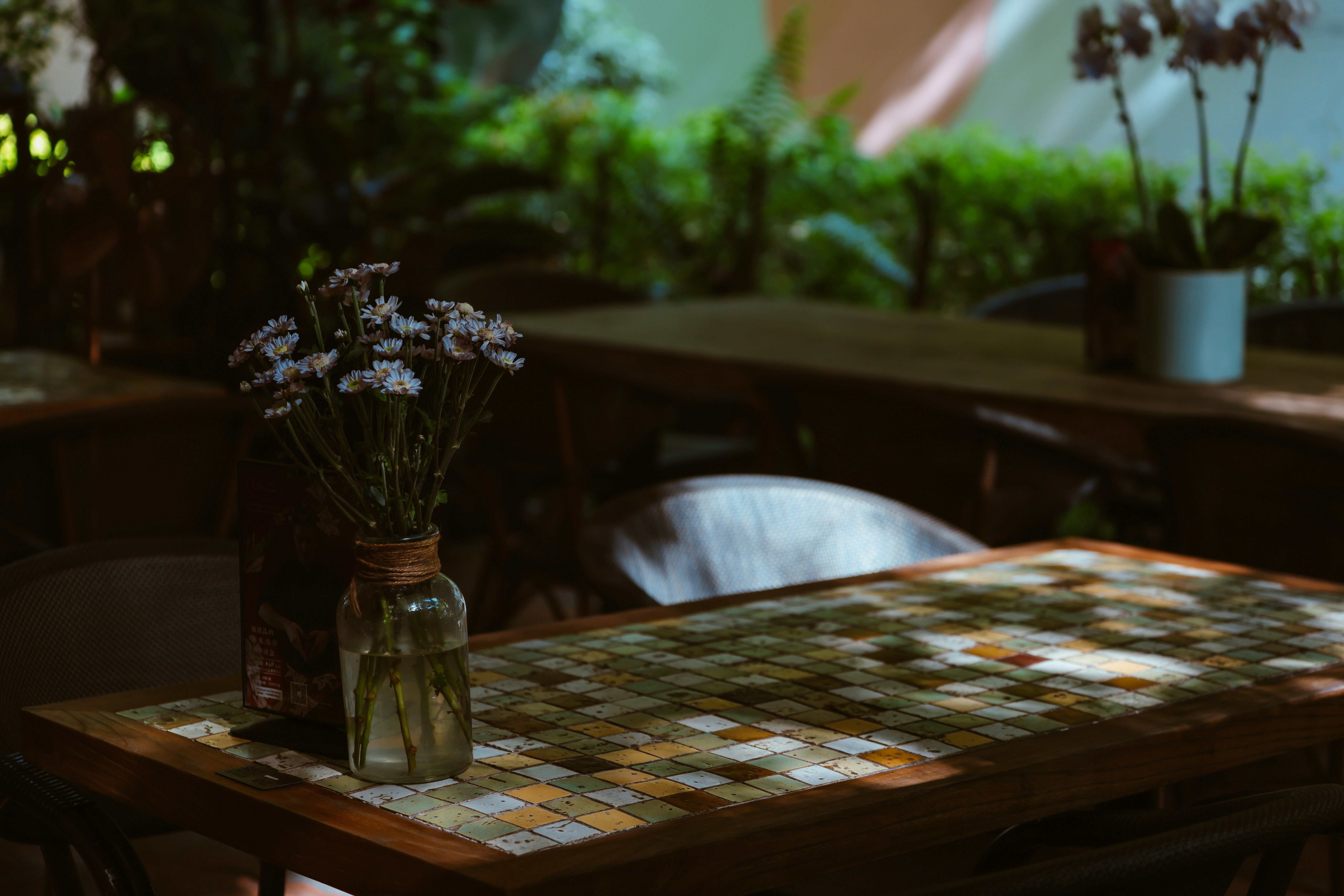 Photo by dickenslin76