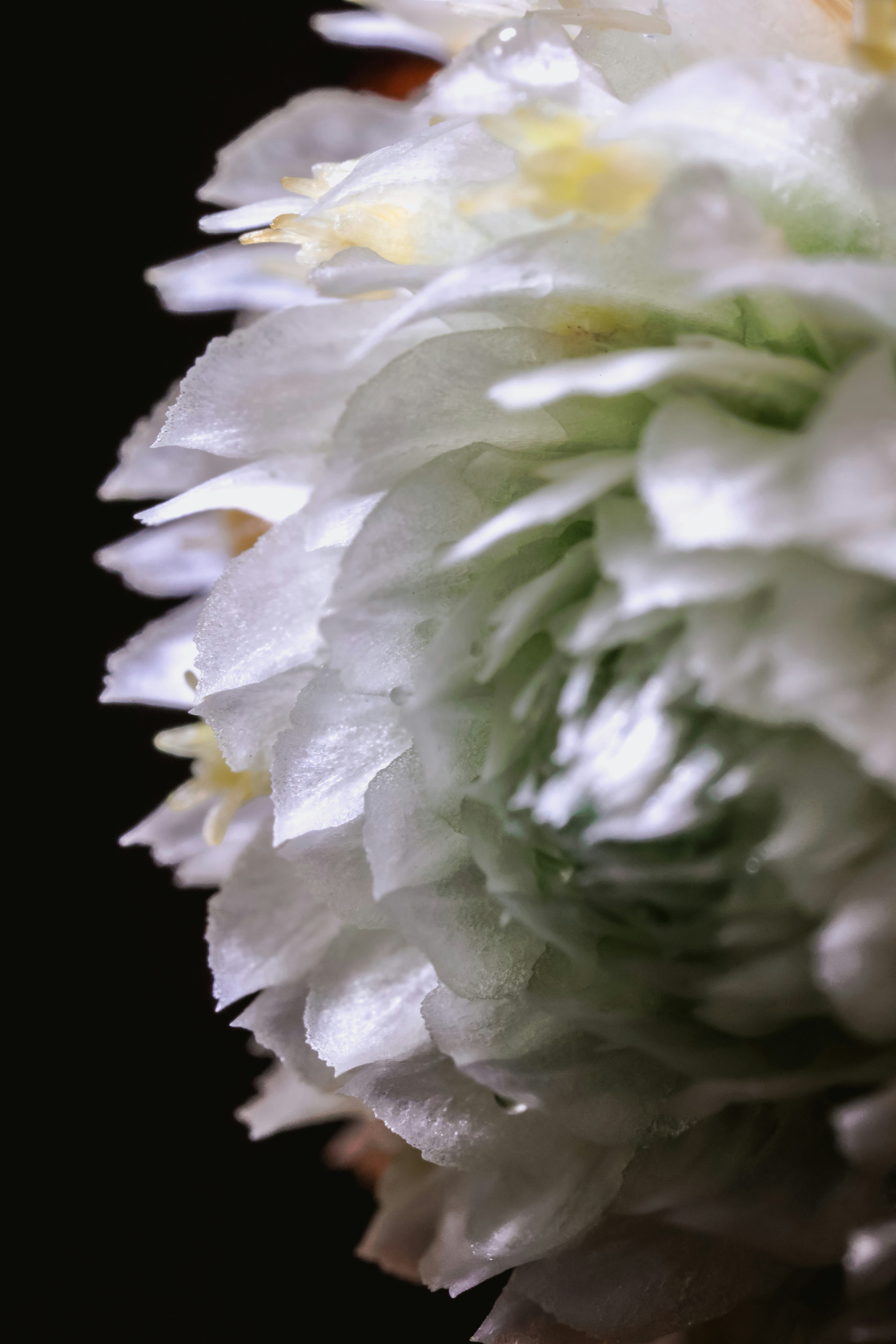 Photo by dickenslin76