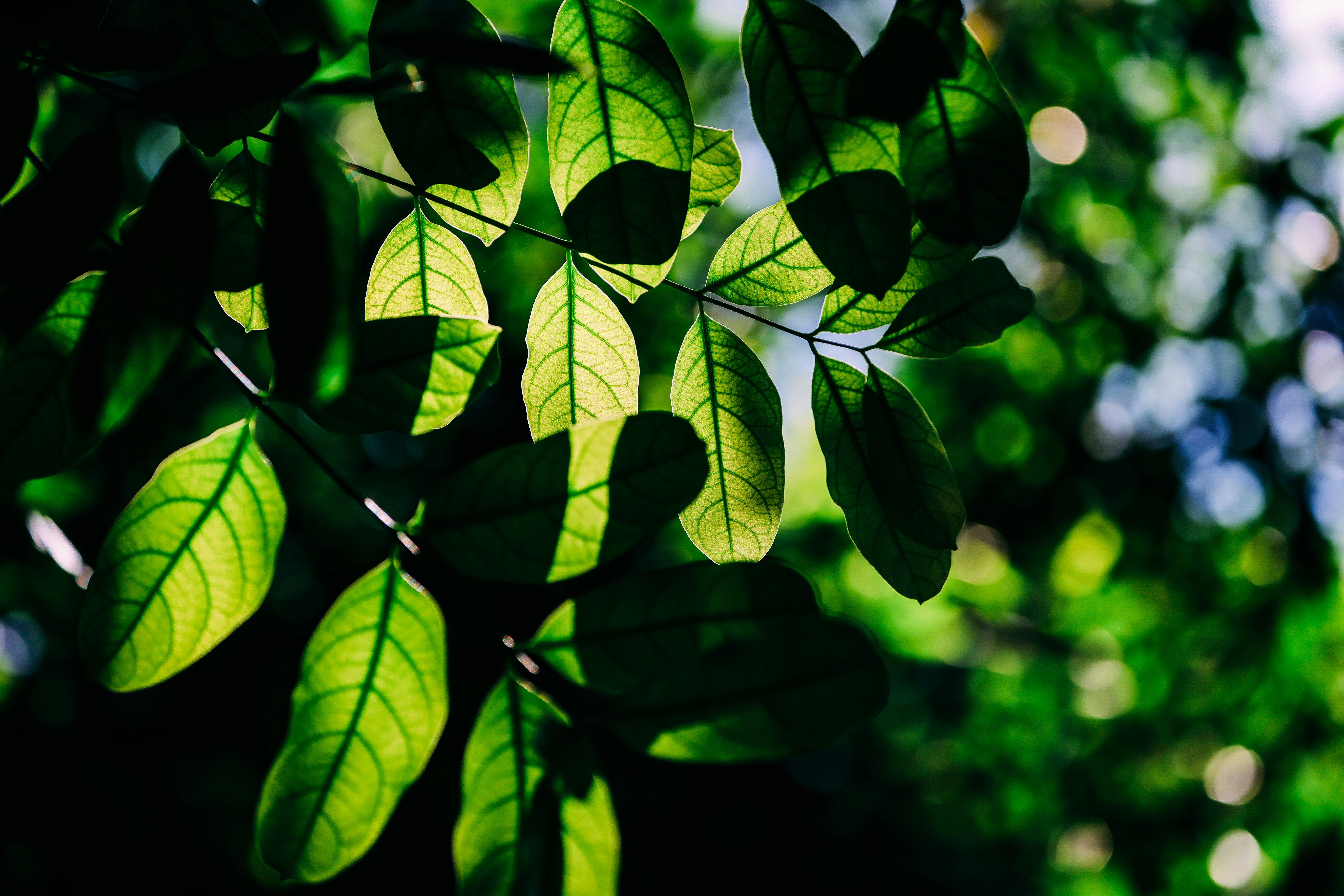 Photo by dickenslin76