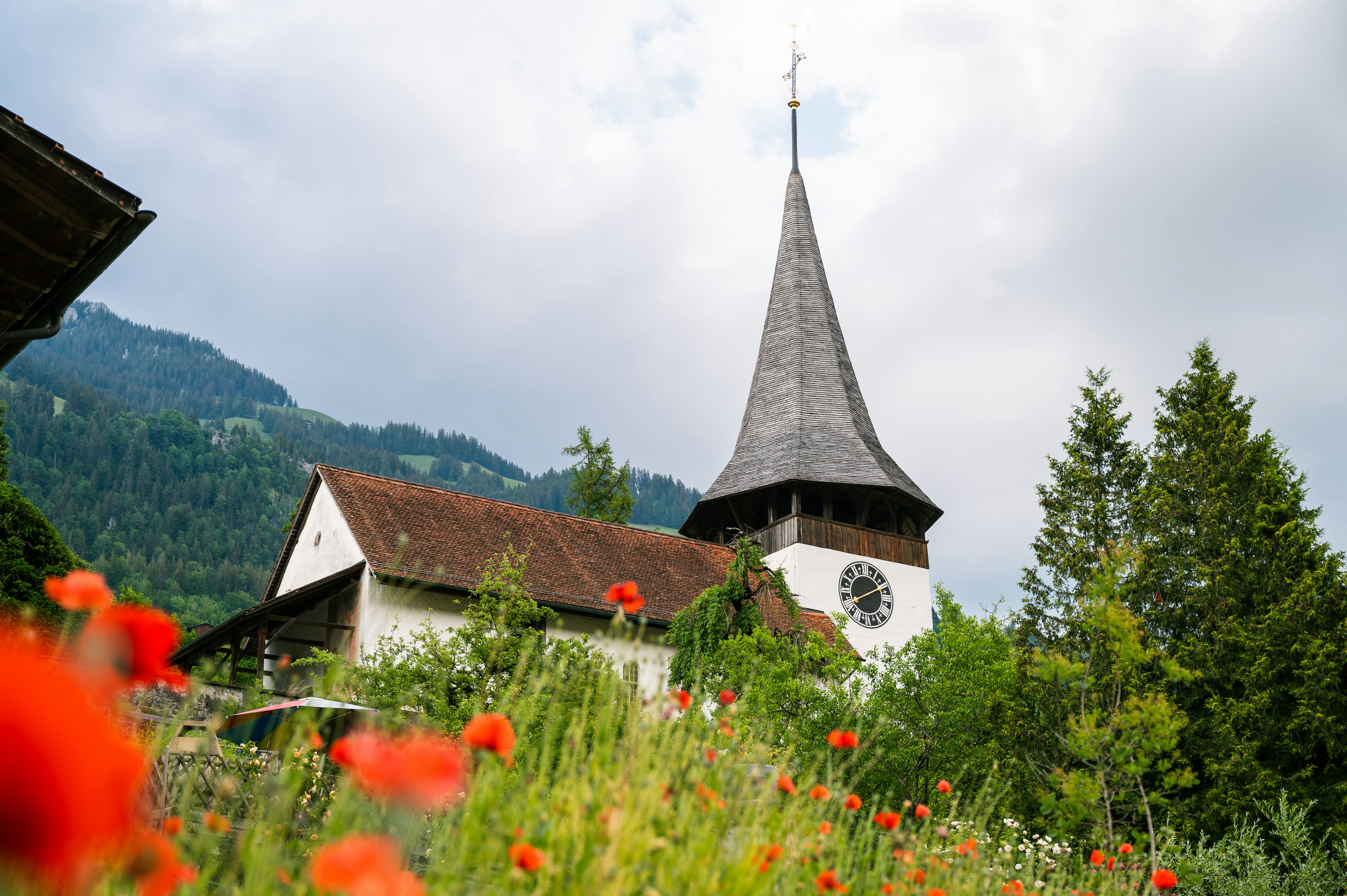 Photo by liviaphotographs