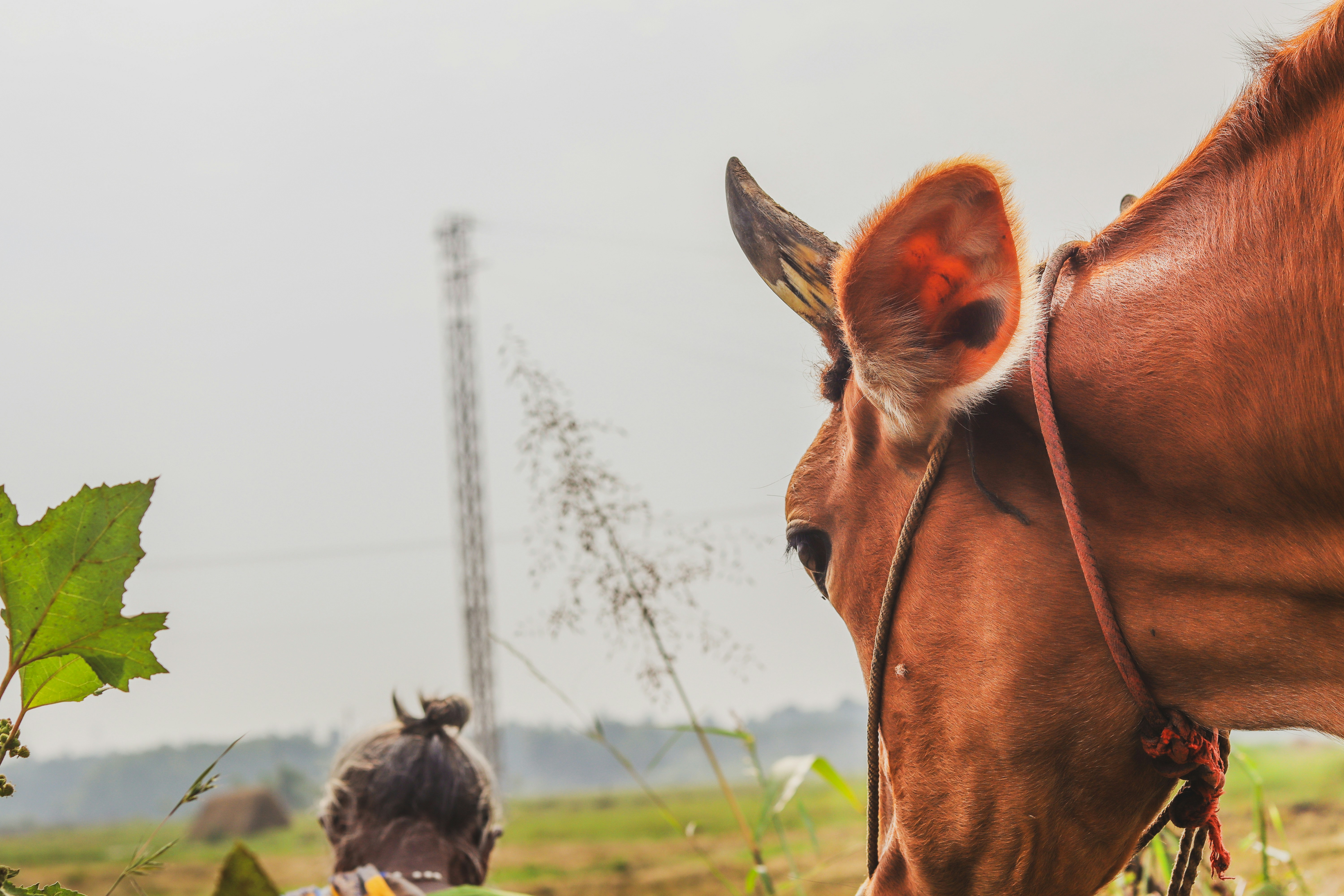 Photo by vishnu_theodore