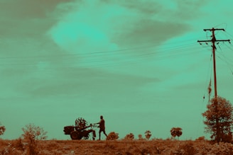 A person is pushing a motorized cart along a rural road, with several small trees and a distant power line visible under cloudy skies.