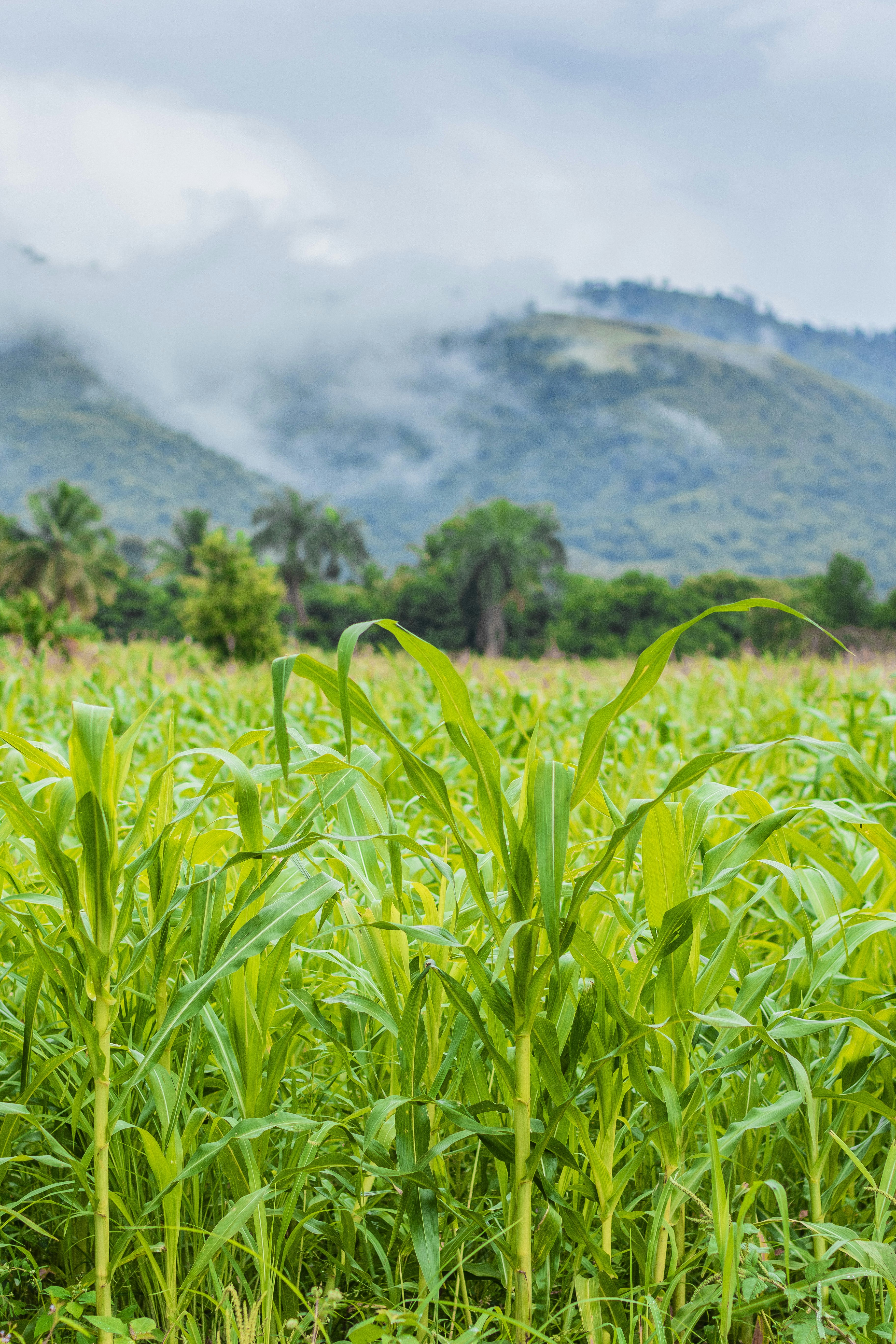 Photo by taravinesmith