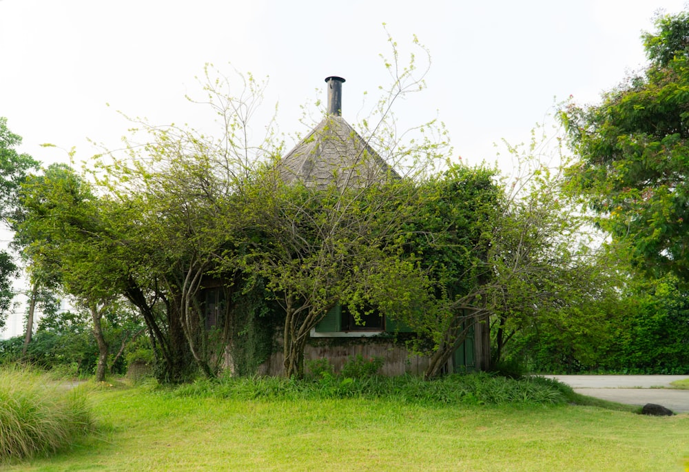 a small building with a roof covered in vines