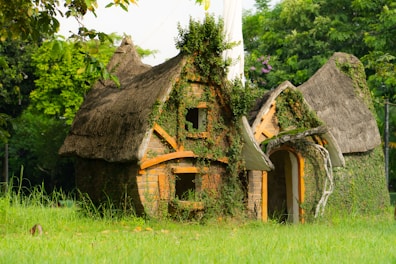 A quaint, rustic house covered in green vegetation, with a thatched roof and overgrown plants. The structure is surrounded by lush greenery, including vibrant trees and grass, creating a serene, natural atmosphere.