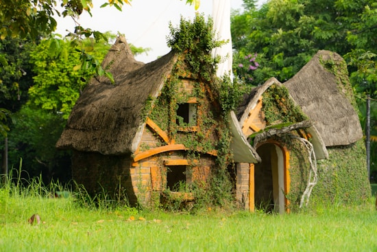 A quaint, rustic house covered in green vegetation, with a thatched roof and overgrown plants. The structure is surrounded by lush greenery, including vibrant trees and grass, creating a serene, natural atmosphere.