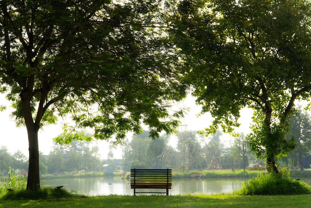 a park bench sitting under a tree next to a lake