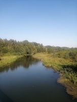A serene river winding through a lush forest under a clear blue sky.