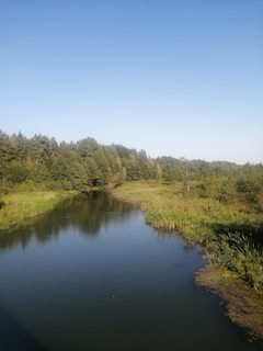 A serene river winding through a lush forest under a clear blue sky.