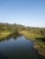 A serene river flowing through a lush forest under a clear blue sky.