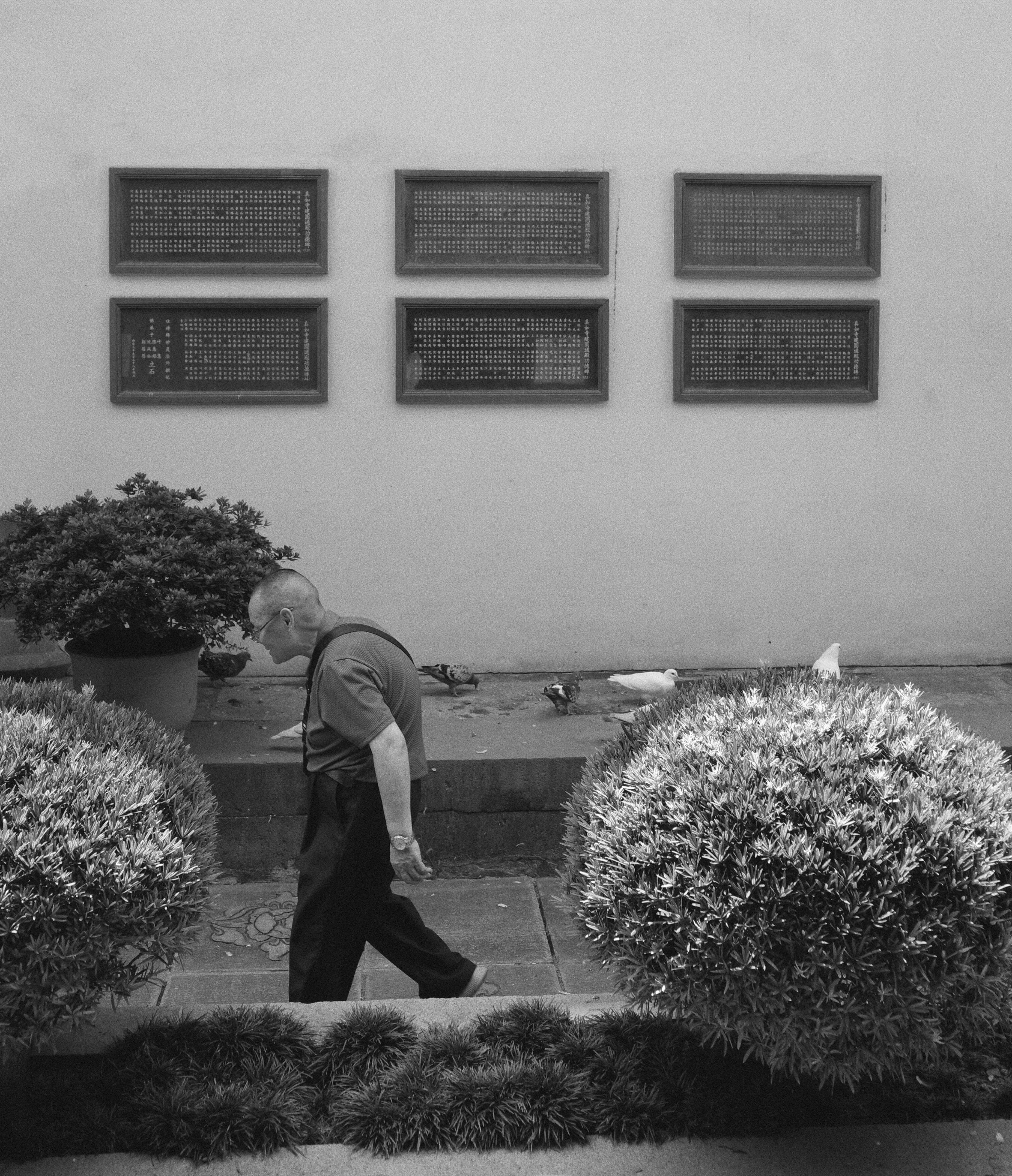 Photo by geraltyichen