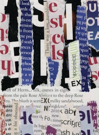 A collage of torn paper strips featuring various text fragments in different colors and fonts. The overlapping pieces of paper create an abstract and textured composition. Prominent colors include red, blue, black, and white, and the text seems to come from different types of documents or publications.