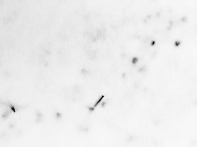 Minimalist white background with abstract shapes representing diverse artistic media.