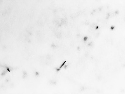 A white background with faint, abstract, dark spots and lines. The image appears to have a minimalistic and abstract design with no clear identifiable objects.