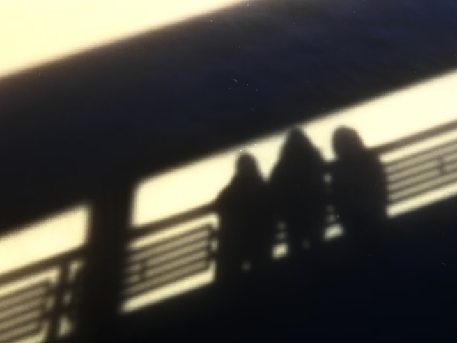 a group of birds sitting on top of a metal railing