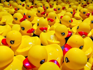 A large collection of yellow rubber duck toys with bright red beaks and blue eyes is closely packed together.
